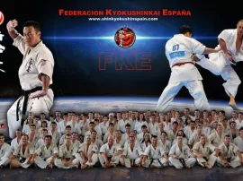 Las 5 artes marciales más populares en España: estadísticas recientes