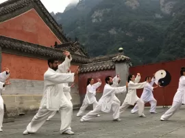 5 artes marciales chinas que debes conocer para mejorar tu técnica.