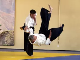 Descubre los principios y técnicas del Aikido para principiantes