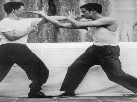 Descubriendo el Wing Chun: Orígenes, Técnicas y Filosofía