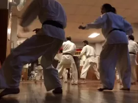 Taikyoku shodan: la importancia de los movimientos básicos en Karate.