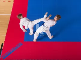 Todo lo que necesitas saber sobre el tatami de competición de Taekwondo.