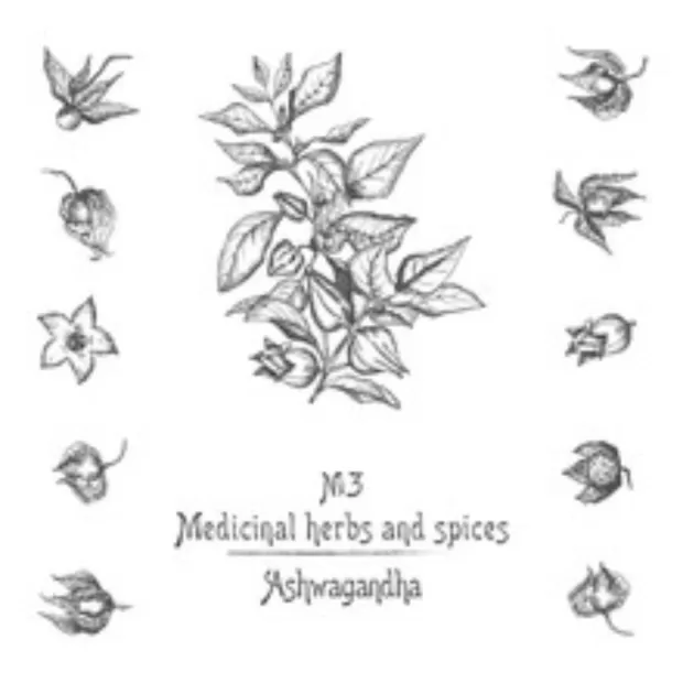 ashwagandha somnifera