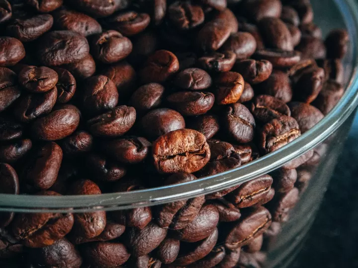 blog como preparar alubias blancas de bote