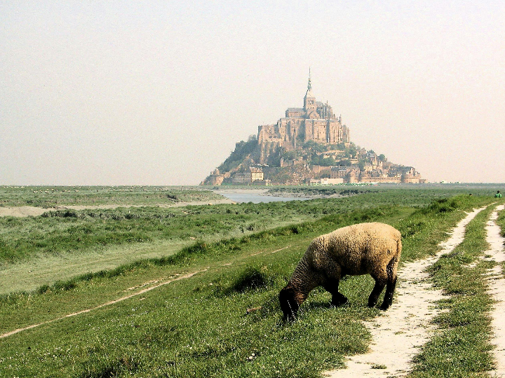 Consejos para planificar tu viaje al Mont Saint Michel desde España