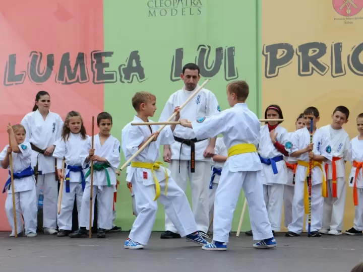 Diferencia entre karate y taekwondo - Blog de artes marciales y deportes de contacto