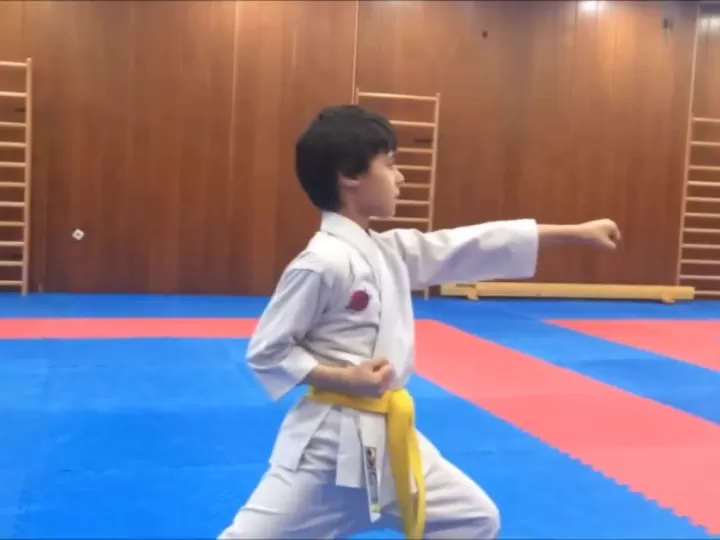 Karate katas. heian shodan