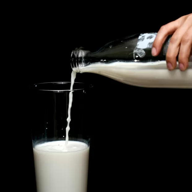 leche nan 1