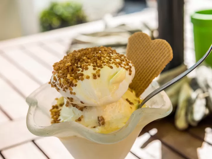 microbiotic creamer opiniones