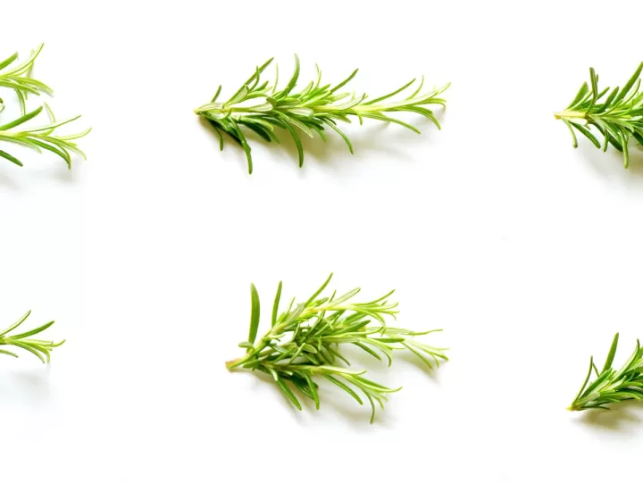 productos herbolario para candidiasis