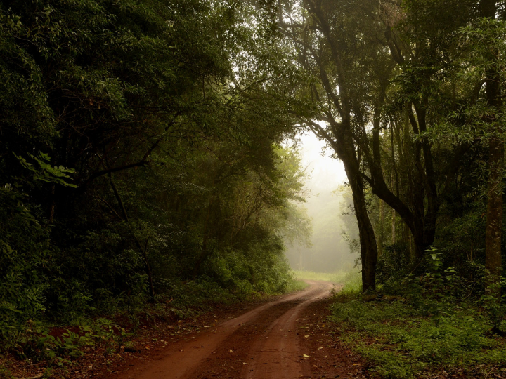 Salteado de pollo Hacendado ultracongelado (Mercadona) - Precio y Opiniones